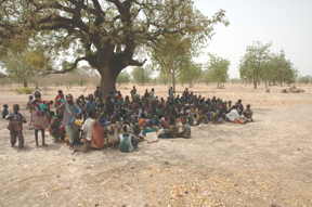 TECHNAP - Cantines - Enfants sous l'arbre TECHNAP - Cantines - Enfants sous l'arbre