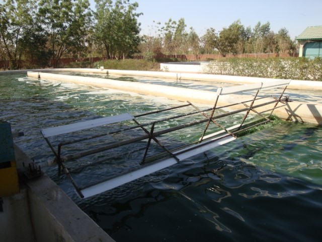 TECHNAP - Nayalgué - Agitateur TECHNAP - Nayalgué - Agitateur