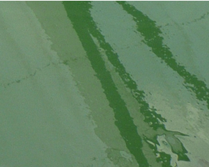 TechnAp - réponse adaptée